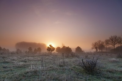 BUITEN BEELD Foto: 192660