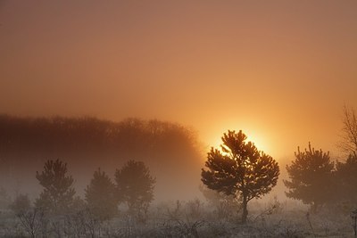 BUITEN BEELD Foto: 192662