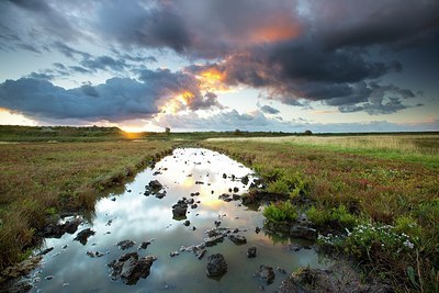 BUITEN BEELD Foto: 192663