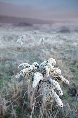 BUITEN BEELD Foto: 192668