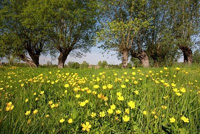 BUITEN BEELD Foto: 192682