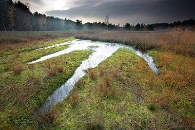 BUITEN BEELD Foto: 192712