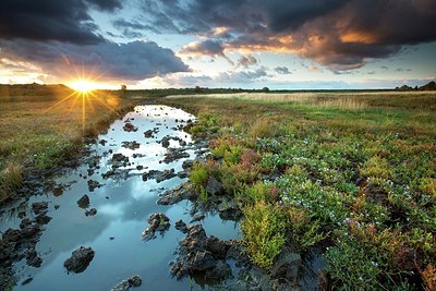 BUITEN BEELD Foto: 192743