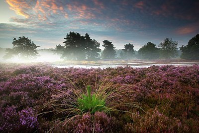 BUITEN BEELD Foto: 192761