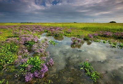 BUITEN BEELD Foto: 192772