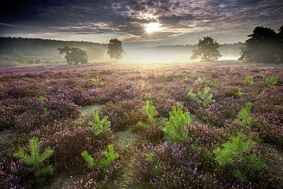 BUITEN BEELD Foto: 192782