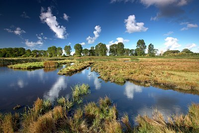 BUITEN BEELD Foto: 192784