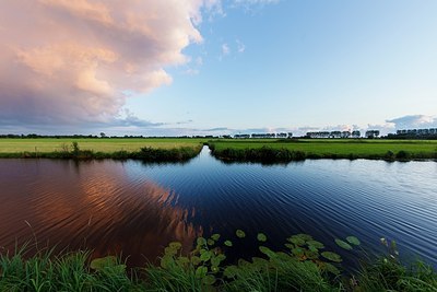 BUITEN BEELD Foto: 192985