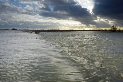 BUITEN BEELD Foto: 193002