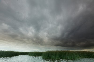 BUITEN BEELD Foto: 193005