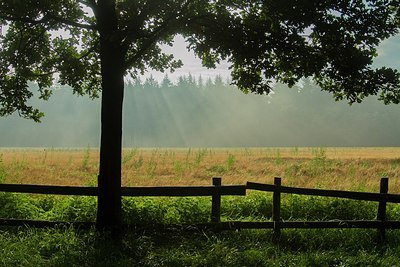 BUITEN BEELD Foto: 193014