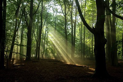 BUITEN BEELD Foto: 193015