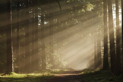 BUITEN BEELD Foto: 193065