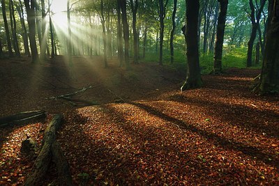 BUITEN BEELD Foto: 193066