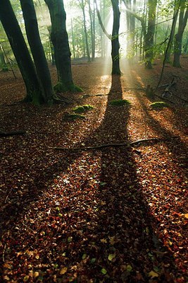 BUITEN BEELD Foto: 193067