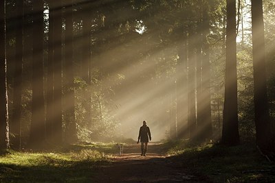 BUITEN BEELD Foto: 193069