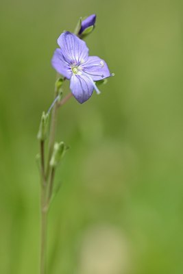 BUITEN BEELD Foto: 193081