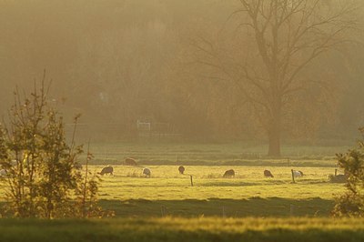 BUITEN BEELD Foto: 193104