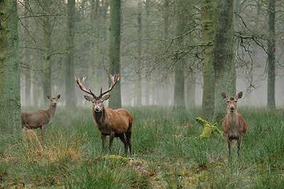 BUITEN BEELD Foto: 193431