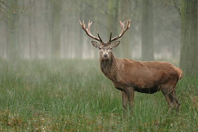 BUITEN BEELD Foto: 193432
