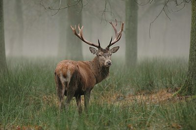 BUITEN BEELD Foto: 193433