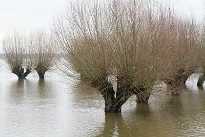 BUITEN BEELD Foto: 193458