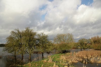 BUITEN BEELD Foto: 193462