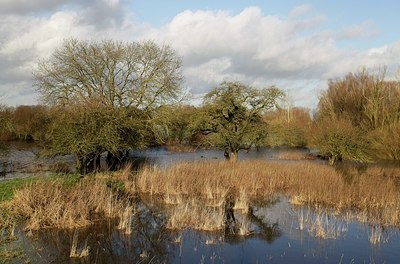 BUITEN BEELD Foto: 193465