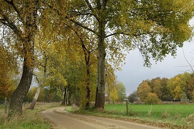 BUITEN BEELD Foto: 193478