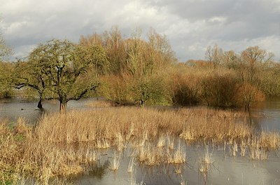 BUITEN BEELD Foto: 193486