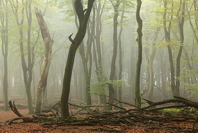 BUITEN BEELD Foto: 193489