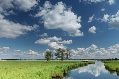 BUITEN BEELD Foto: 193613