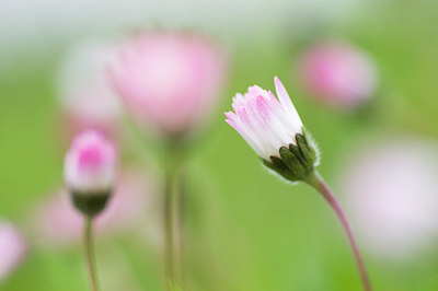 BUITEN BEELD Foto: 193653