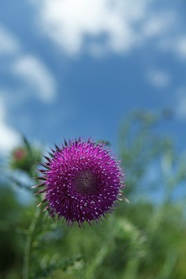 BUITEN BEELD Foto: 193721