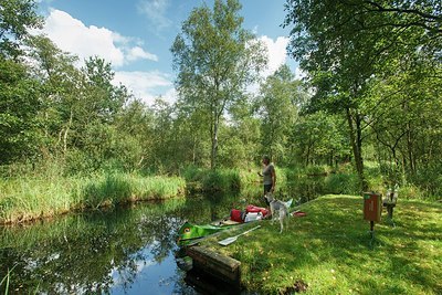 BUITEN BEELD Foto: 193787