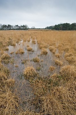 BUITEN BEELD Foto: 193861