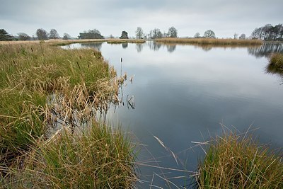 BUITEN BEELD Foto: 193862