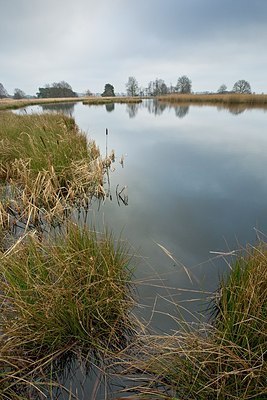 BUITEN BEELD Foto: 193863