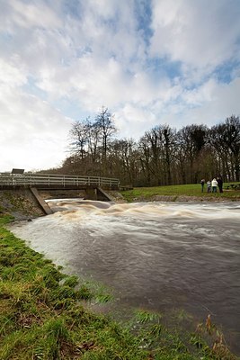 BUITEN BEELD Foto: 193883