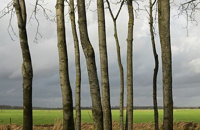 BUITEN BEELD Foto: 193900