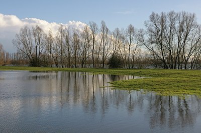 BUITEN BEELD Foto: 193968