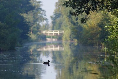 BUITEN BEELD Foto: 194068