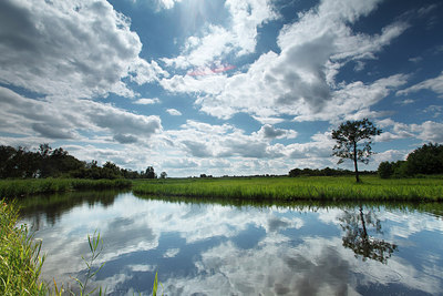 BUITEN BEELD Foto: 194103