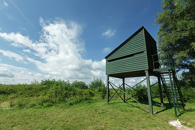 BUITEN BEELD Foto: 194106