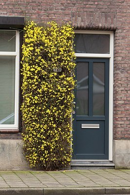 BUITEN BEELD Foto: 194119