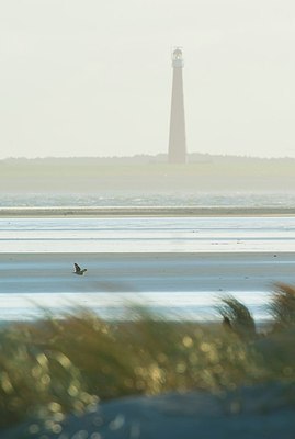 BUITEN BEELD Foto: 194518