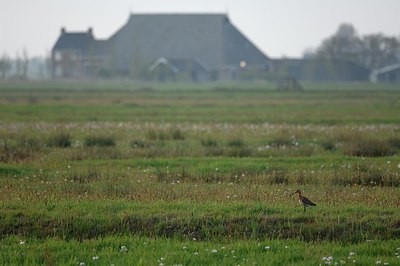BUITEN BEELD Foto: 194589