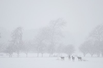 BUITEN BEELD Foto: 194779