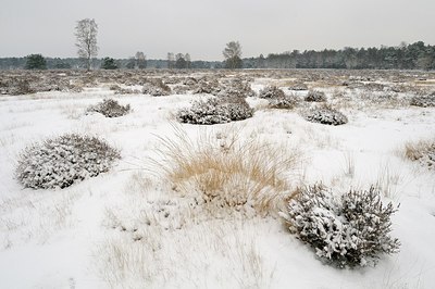 BUITEN BEELD Foto: 194871