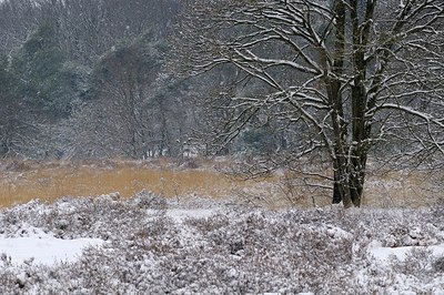 BUITEN BEELD Foto: 194872